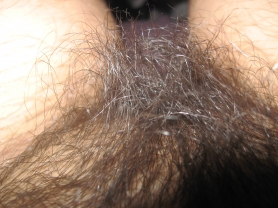 Hairy brunette show pusssy on cam - #18